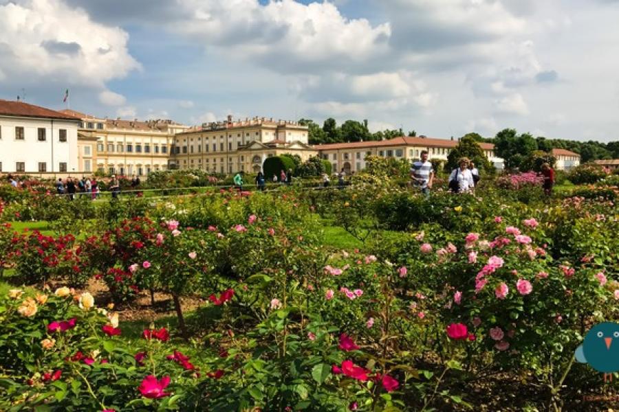 villa reale monza