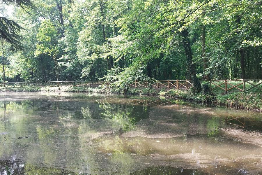 Laghetto Valle dei Sospiri Parco di Monza