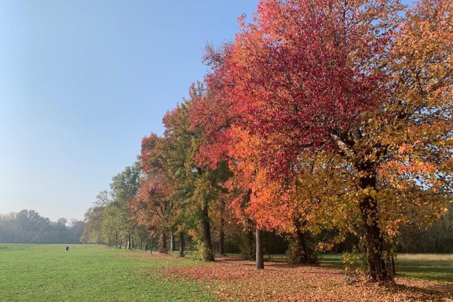 Ricordando Aurelia Josz: il Parco di Monza e la sua funzione agricola