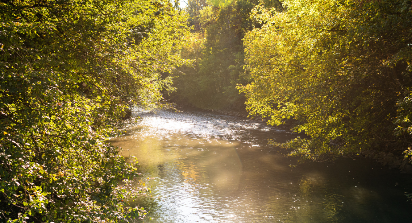 PARCO DI MONZA