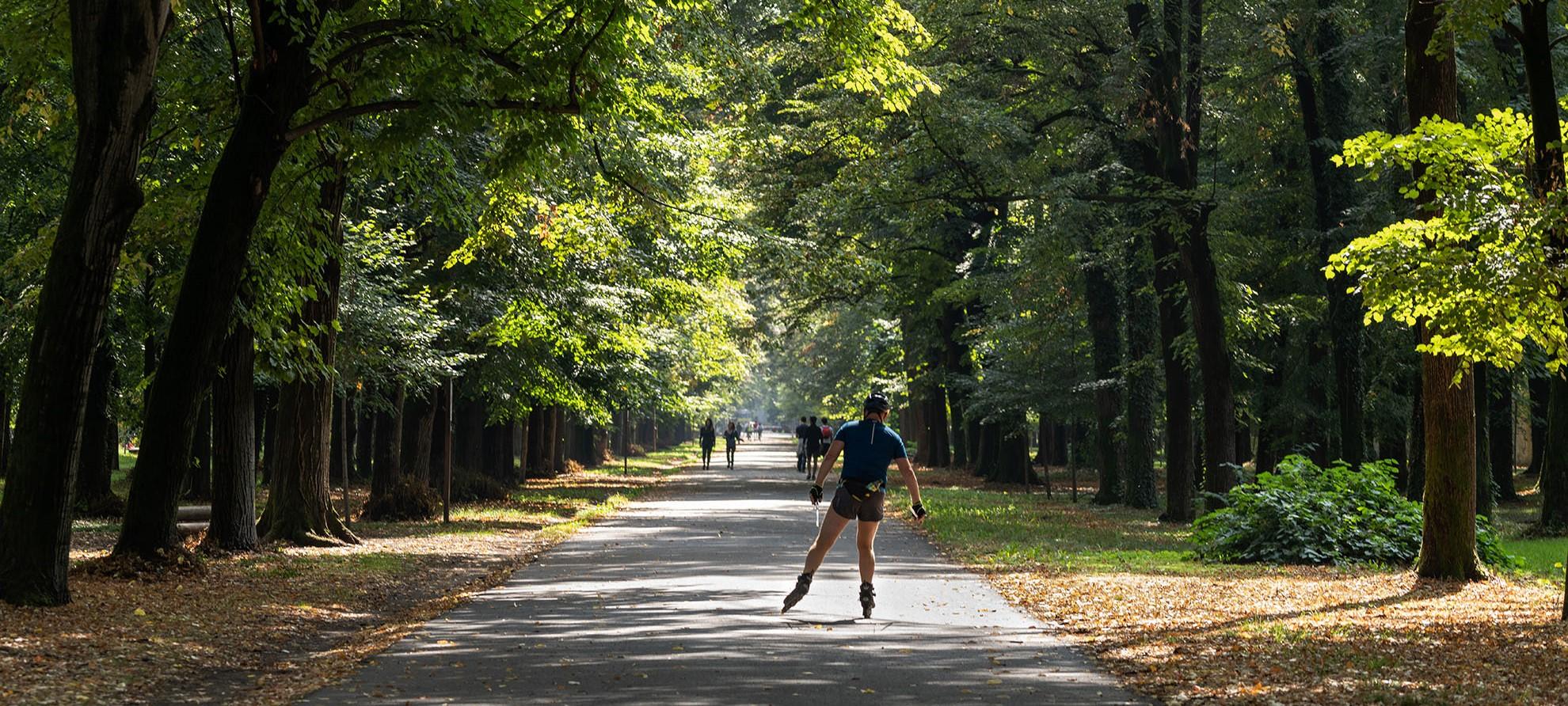 Sport a Monza