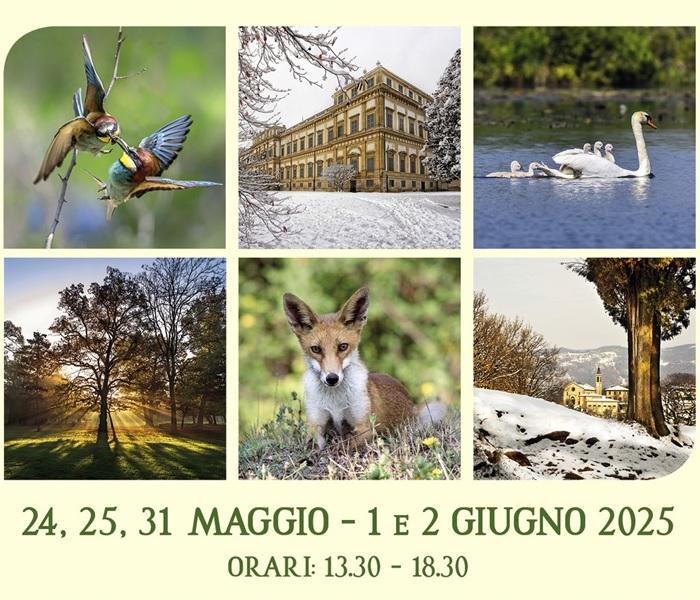 Mostra