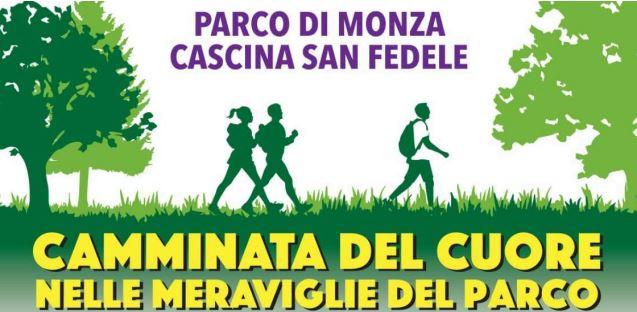 Camminata del Cuore
