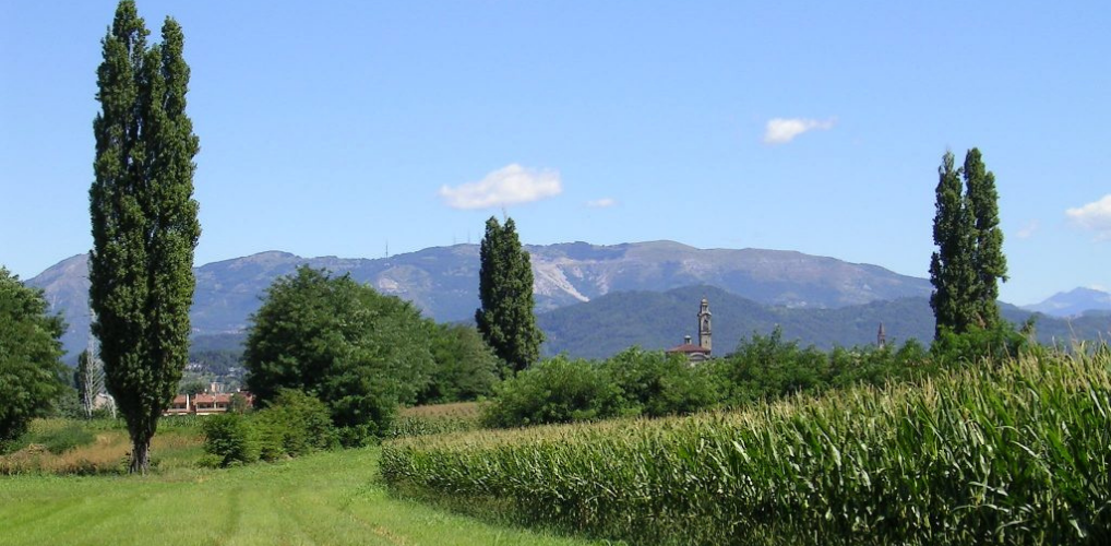 Parco Agricolo Nord Est