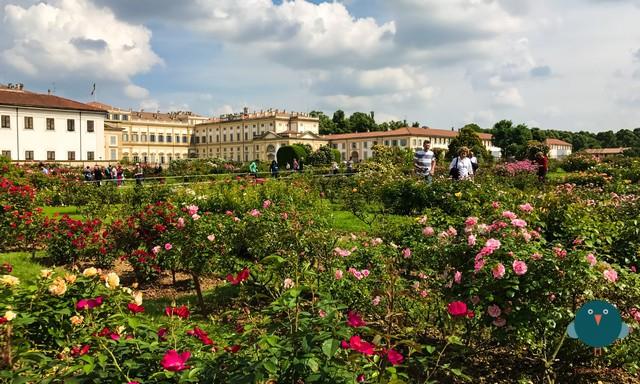 villa reale monza