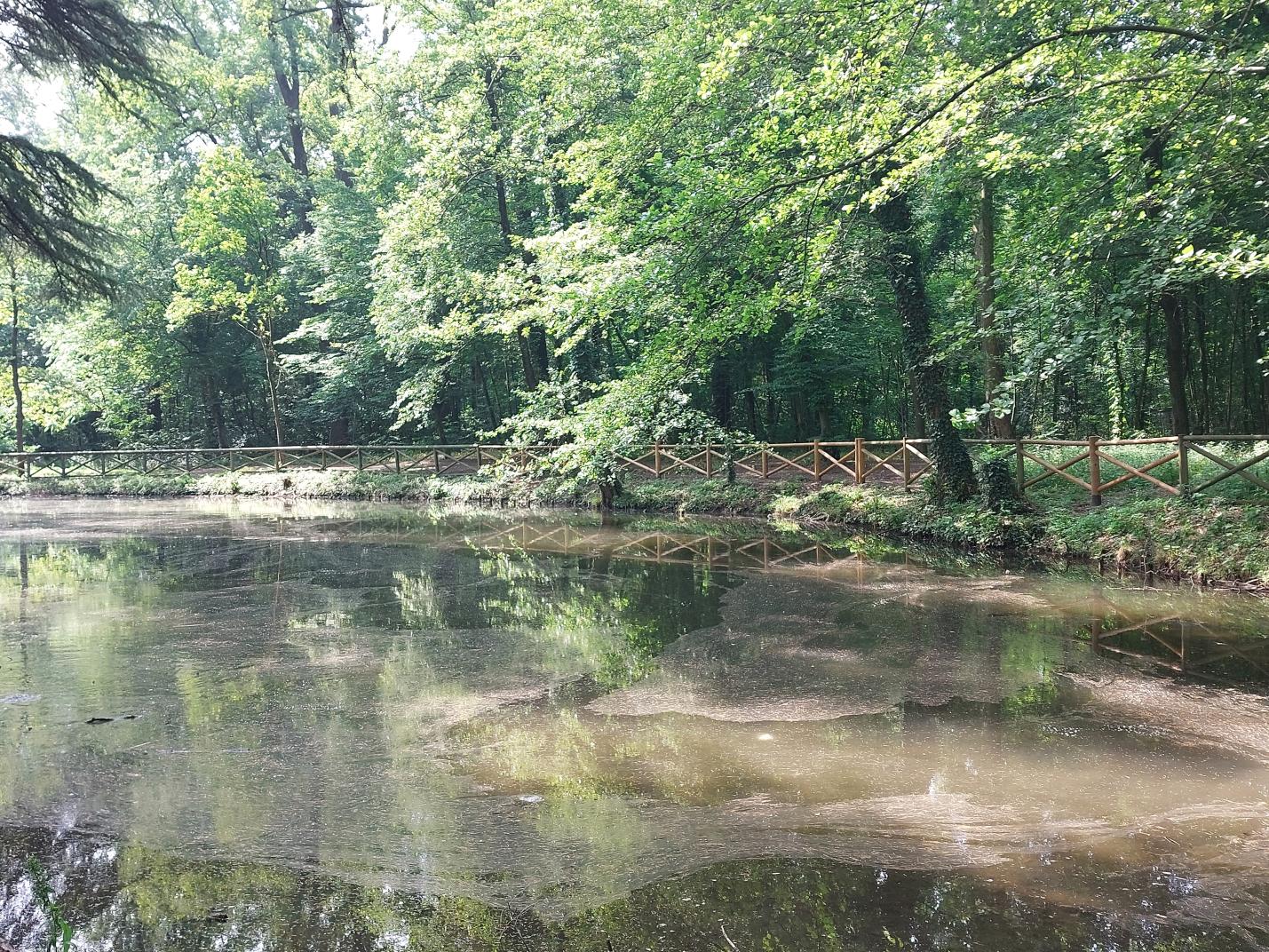 Laghetto Valle dei Sospiri Parco di Monza