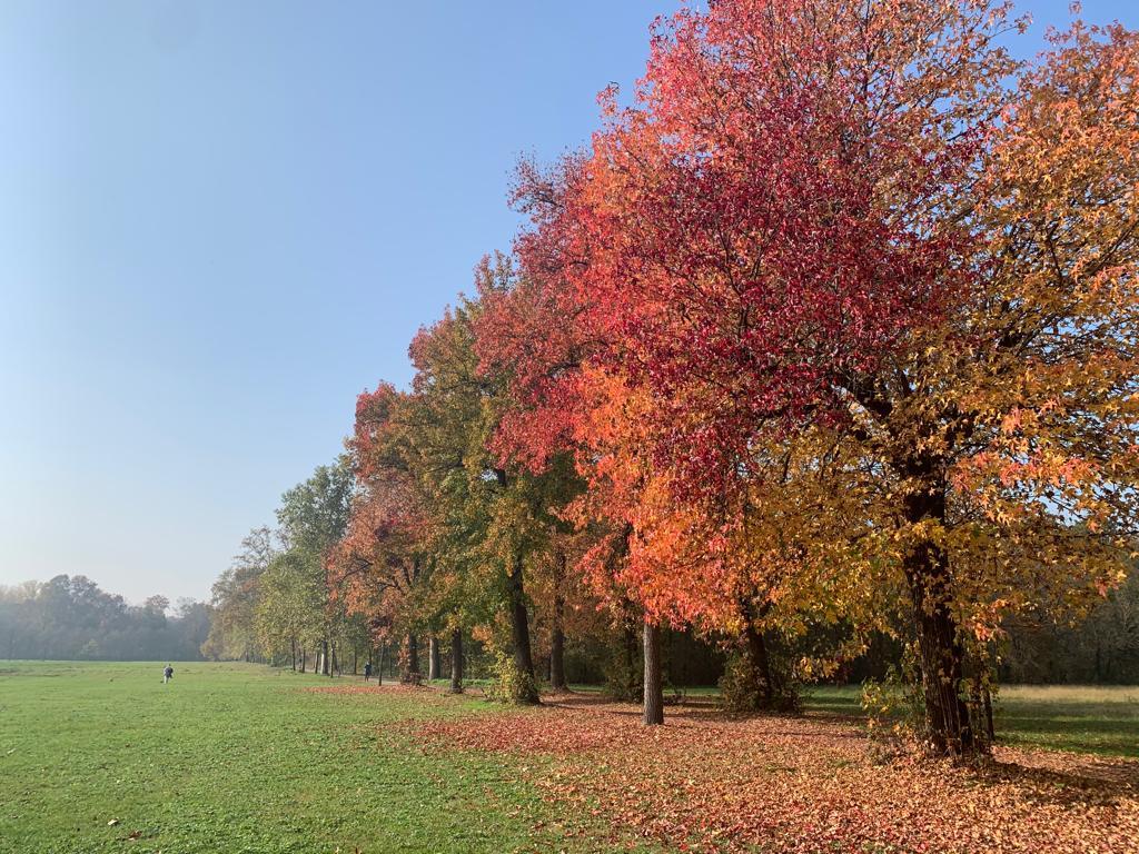 Ricordando Aurelia Josz: il Parco di Monza e la sua funzione agricola