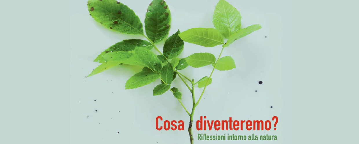 Cosa diventeremo? Mostra itinerante